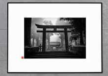 Load image into Gallery viewer, Asano Torii
