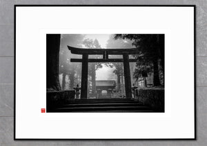 Asano Torii